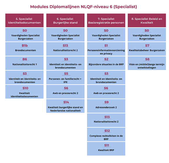 Overzicht Modules Diplomalijnen NLQF-6 niveau