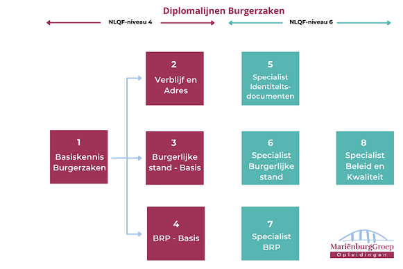 Overzicht Diplomalijnen